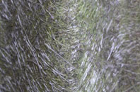 Coopersale Common fibreglass roof work